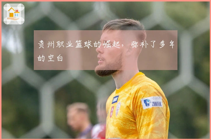 贵州职业篮球的崛起，弥补了多年的空白