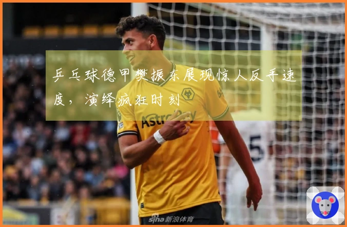 乒乓球德甲樊振东展现惊人反手速度，演绎疯狂时刻